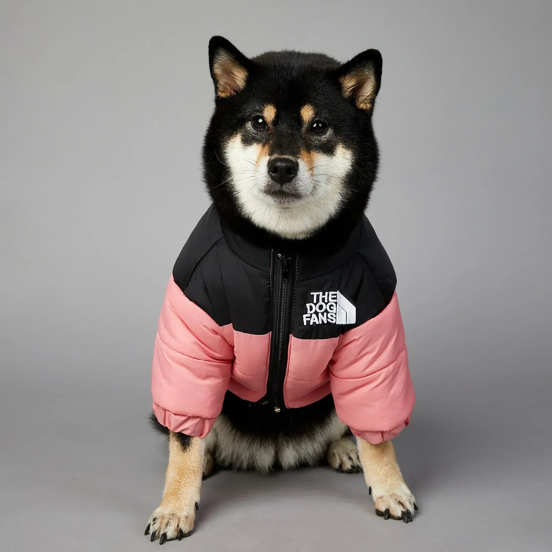 Winter Dog Down Jacket - Warm Thick Vest - Purrfect Pet Kingdom