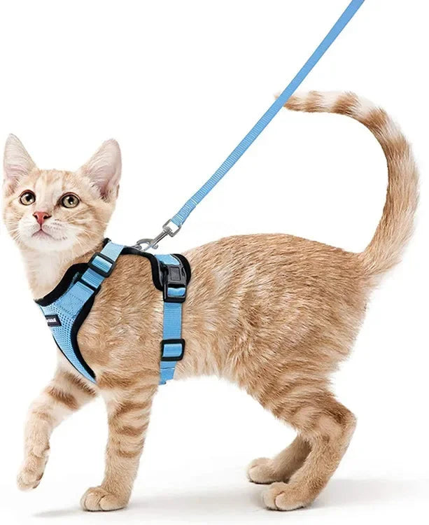 Escape-Proof Cat Harness & Leash Set - Purrfect Pet Kingdom
