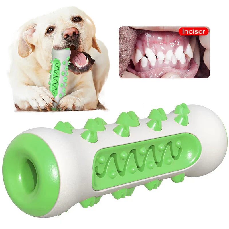 Rubber Dog Molar Toothbrush Toys – Chew & Dental Care for