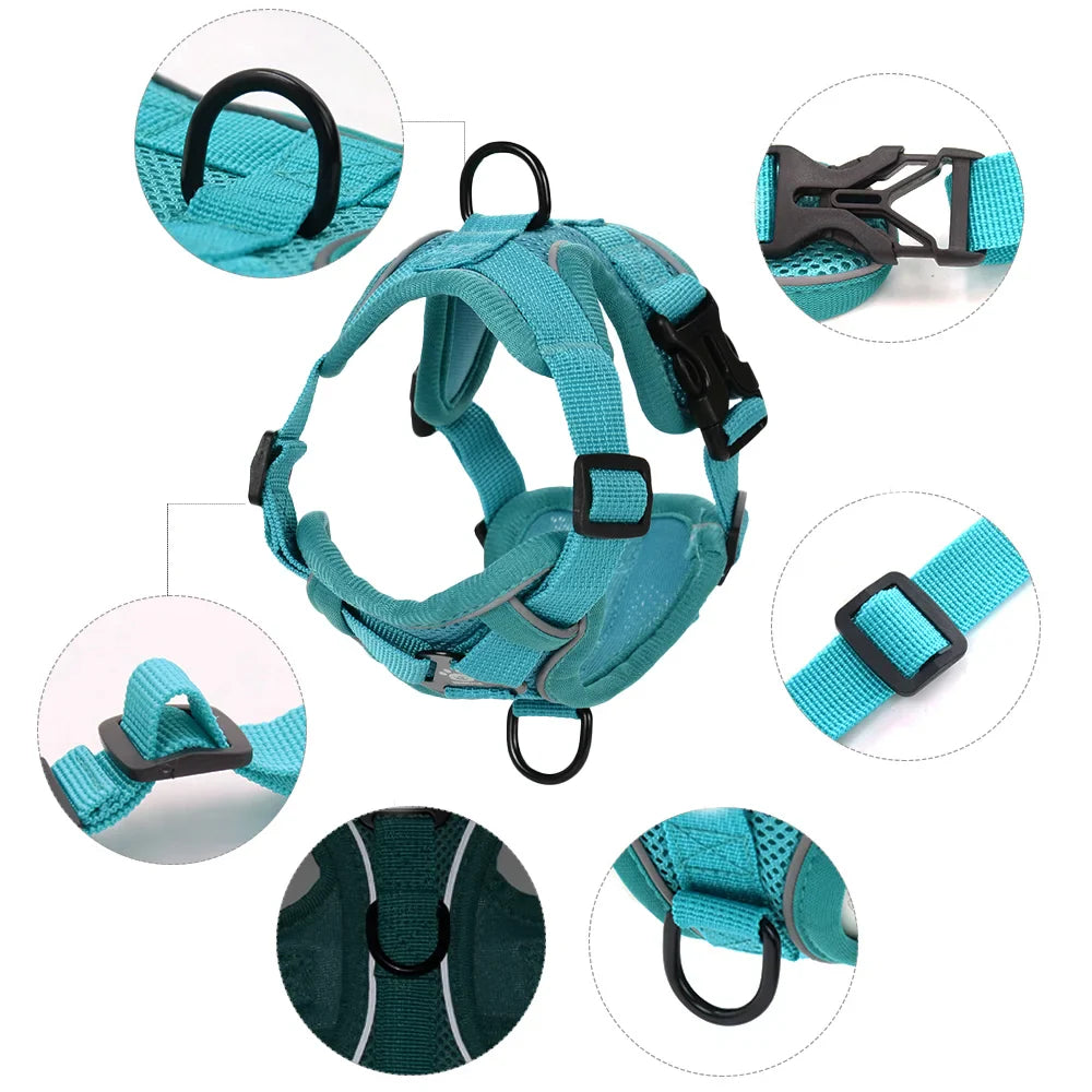 Secure Escape-Proof Cat Harness and Leash for Walking Cats