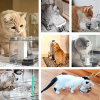 Cat Water Fountain Drinker 1.5L Auto Filter Transparent