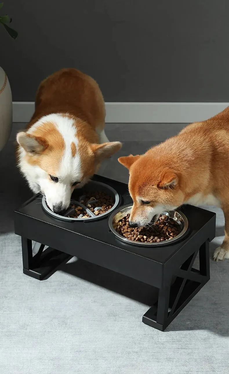 Adjustable Height Elevated Dog Bowls - Purrfect Pet Kingdom
