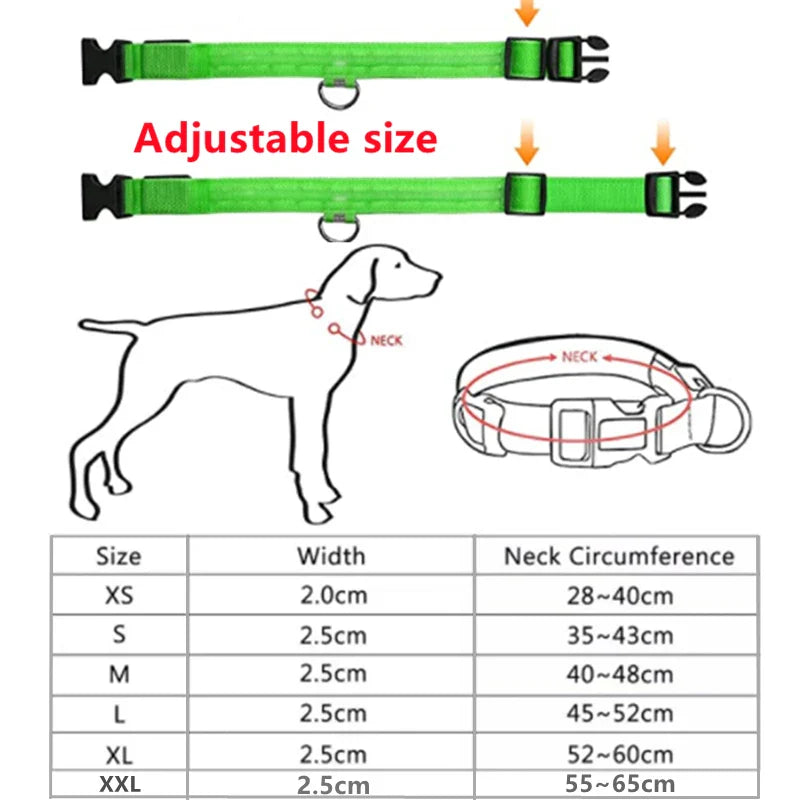 USB Rechargeable LED Glowing Dog Collar – Adjustable Night Safety - WTN Essentials