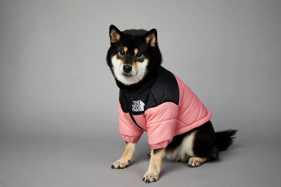 Winter Dog Down Jacket - Warm Thick Vest - Purrfect Pet Kingdom