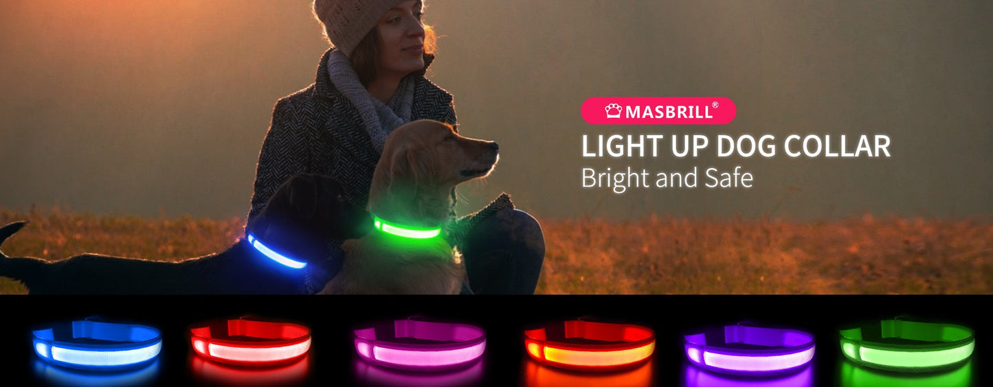 LED Waterproof Safety Dog Collar 💡