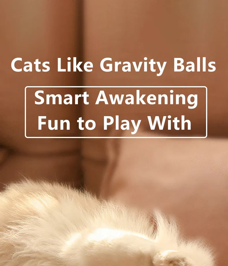 2PCS Smart Cat Toys – Auto Rolling Interactive Ball Set - WTN Essentials