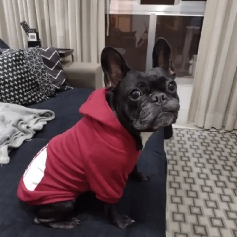 Dog Face Print Hoodie - Winter Jacket for Large Dogs