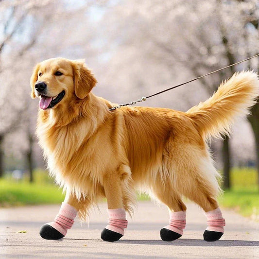 Waterproof Outdoor Dog Walking Shoes - Anti-Slip Breathable Pet Accessories