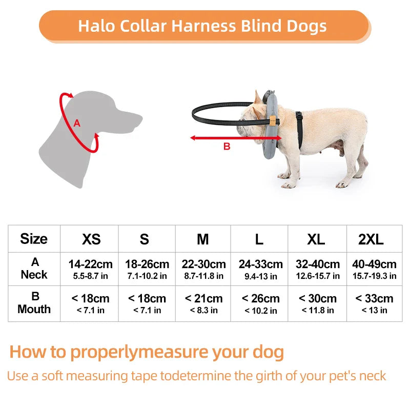 Blind Dog Safety Collar - Purrfect Pet Kingdom