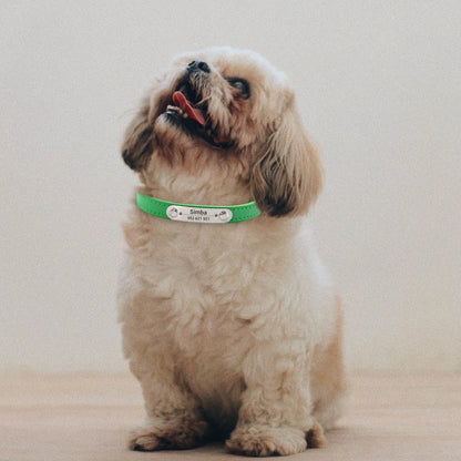 Personalized Dog Collar - Engraved ID Leather Collar