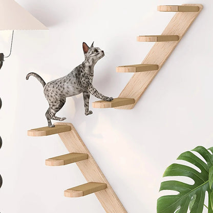 Cat Wall Rack Climbing Frame Furniture Bridge 🐱
