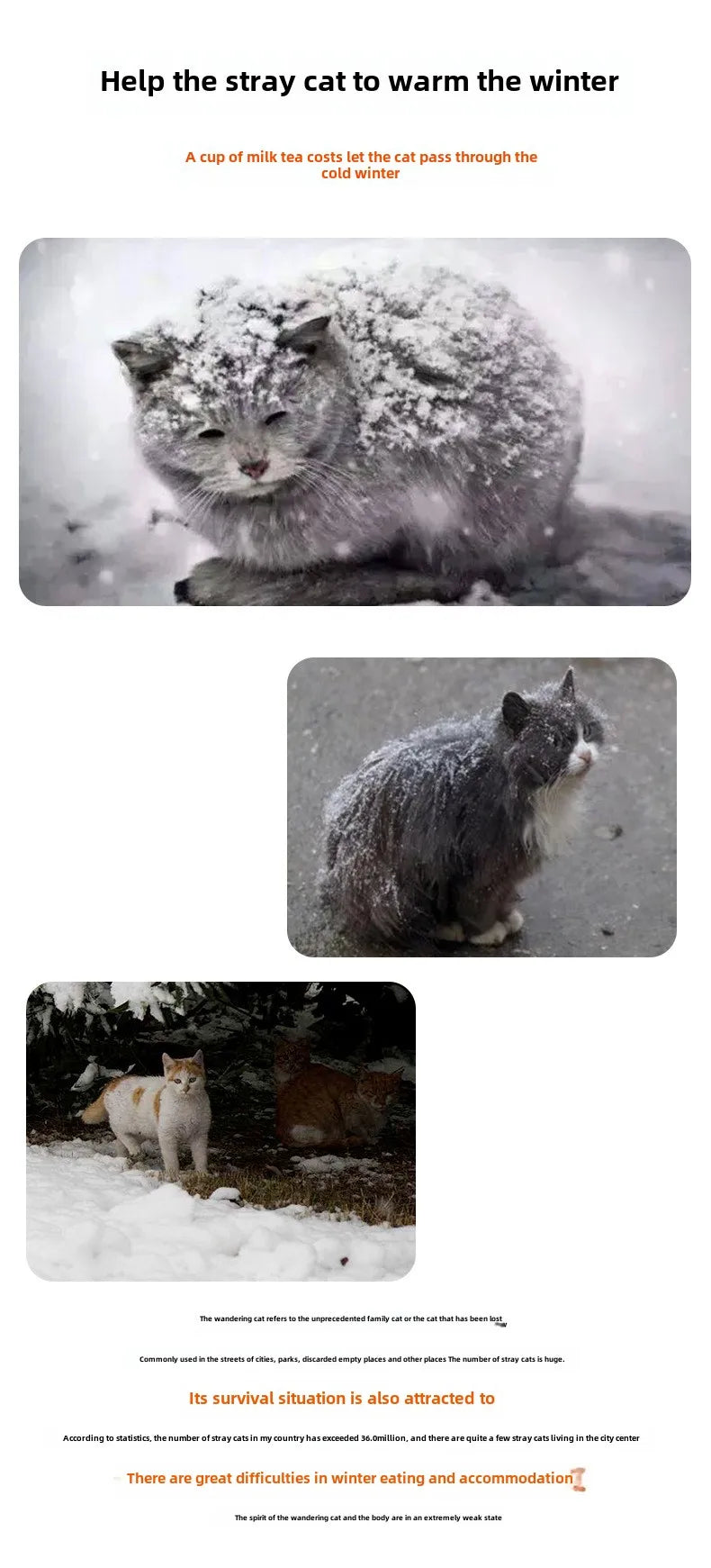 Waterproof Outdoor Pet House Stray Cats & Dogs