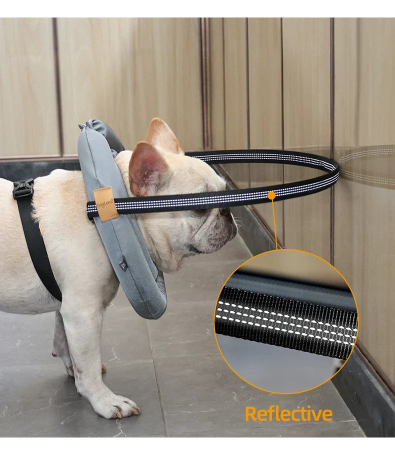 Blind Dog Safety Collar - Purrfect Pet Kingdom