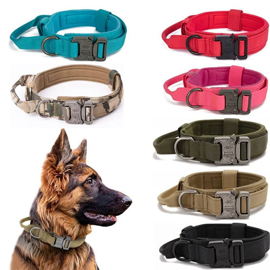 Durable Nylon Dog Collar & Reflective Leash Set – Tactical Training - WTN Essentials