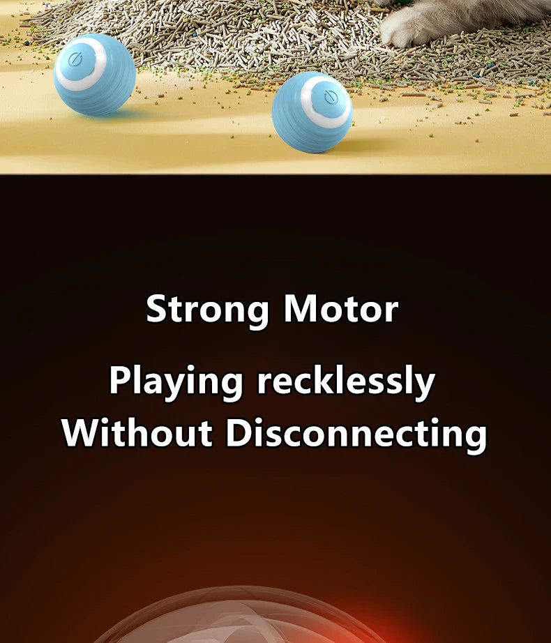 2PCS Smart Cat Toys – Auto Rolling Interactive Ball Set - WTN Essentials