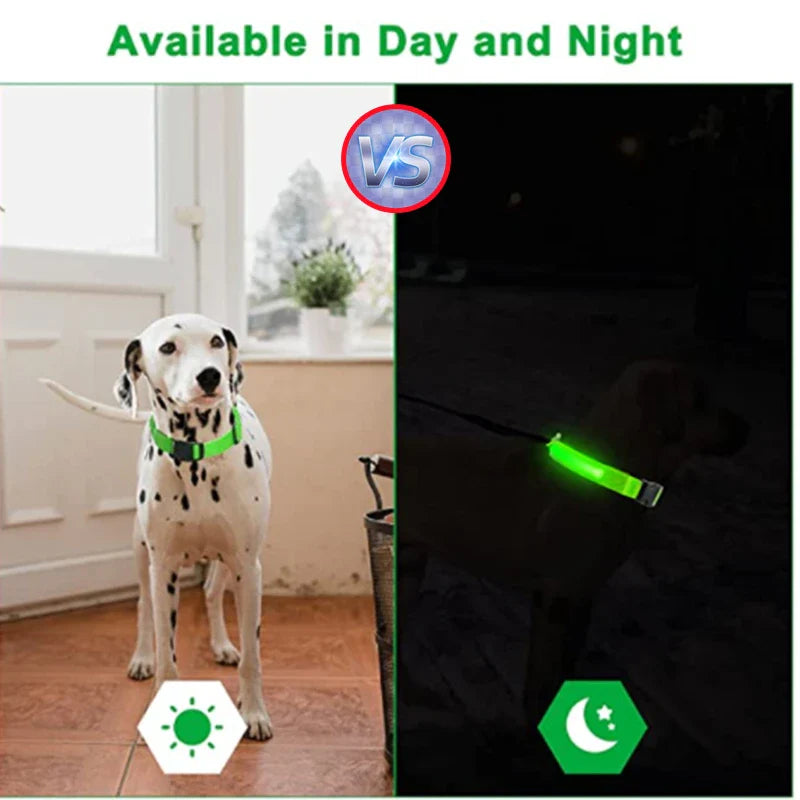 USB Rechargeable LED Glowing Dog Collar – Adjustable Night Safety - WTN Essentials