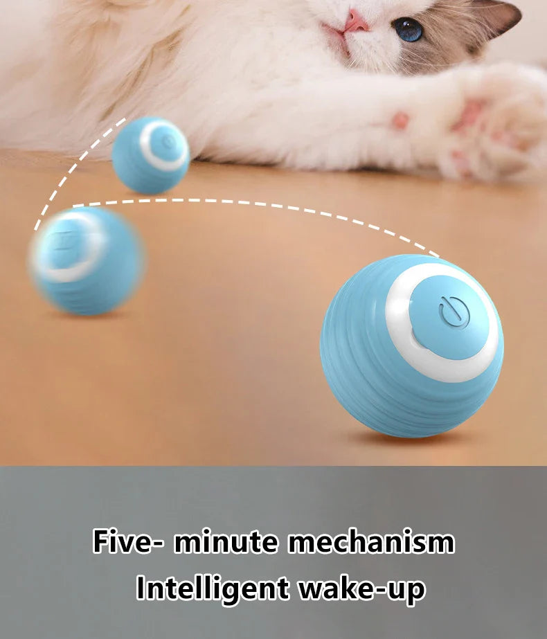 2PCS Smart Cat Toys – Auto Rolling Interactive Ball Set - WTN Essentials