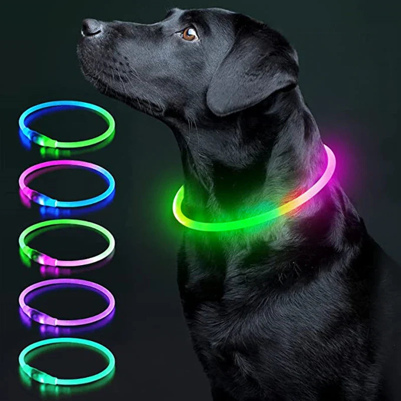 USB Rechargeable LED Glowing Dog Collar – Adjustable Night Safety - WTN Essentials