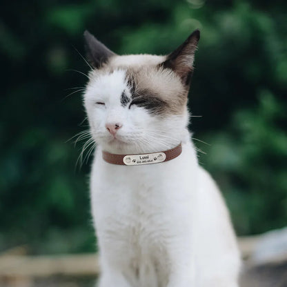 Personalized Dog Collar - Engraved ID Leather Collar