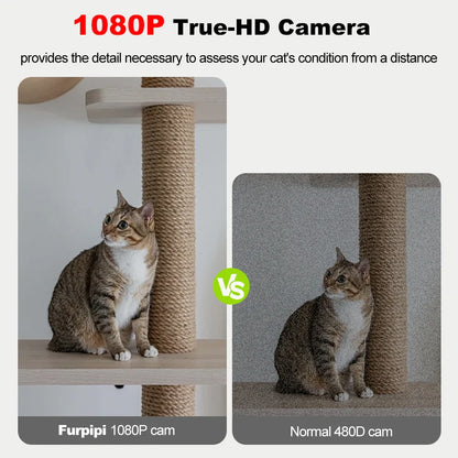 Comparison of clear 1080P vs grainy 480D camera quality showing a brown tabby cat on a sisal and wood cat tree.