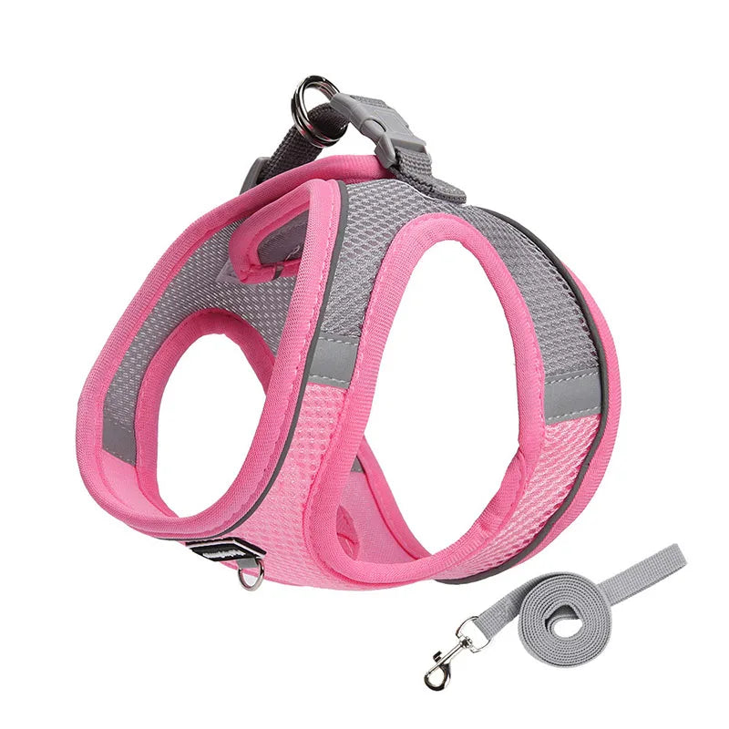 Adjustable Dog Harness & Leash Set for Small Dogs – Comfortable & Safe Walking Gear - WTN Essentials