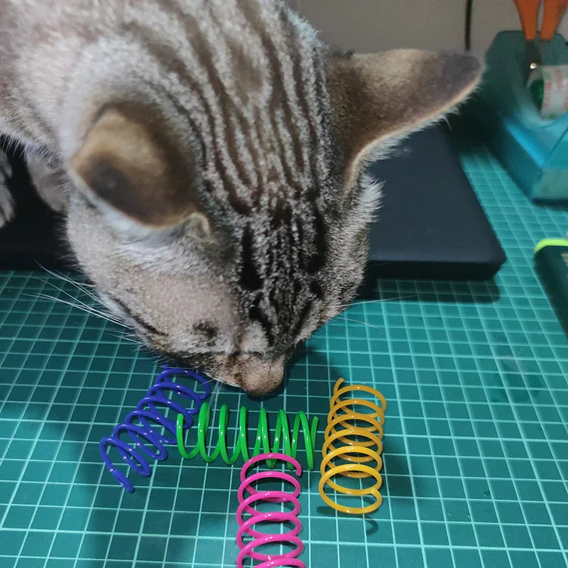 Colorful Cat Spring Toys – Durable Coil Play for Kittens - WTN Essentials