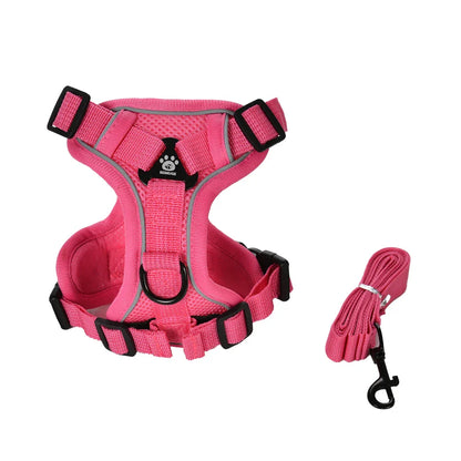 Secure Escape-Proof Cat Harness and Leash for Walking Cats