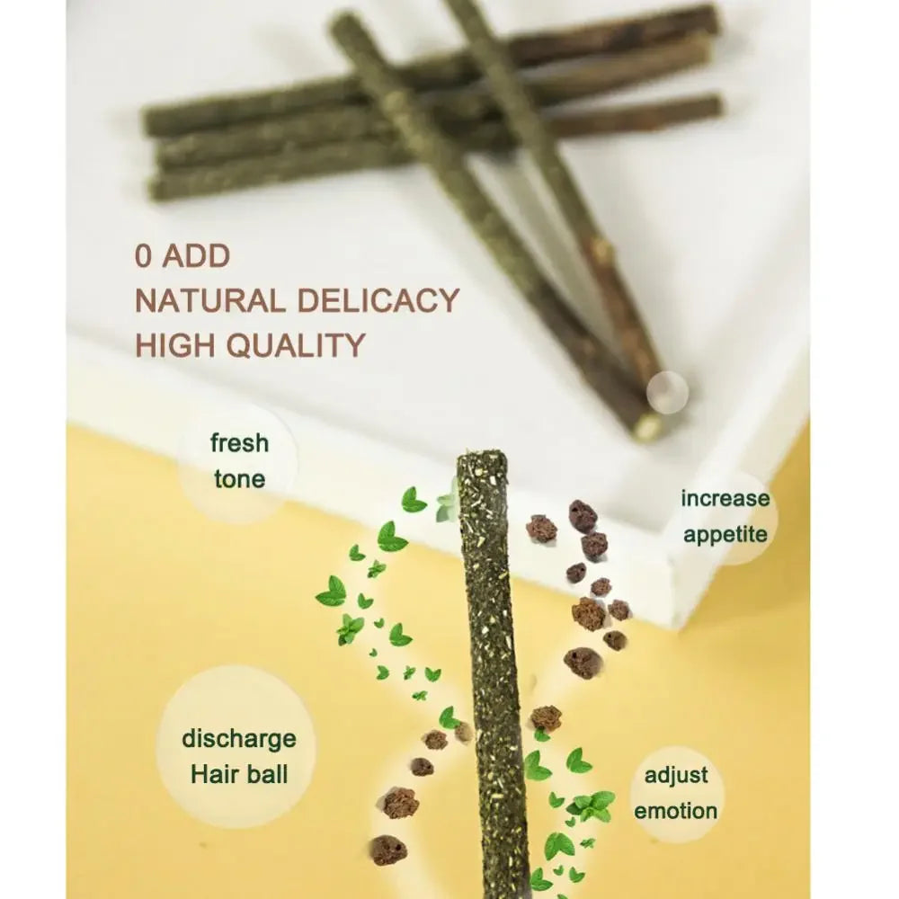 Cat Toy Natural Matatabi Sticks 6PC