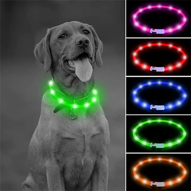 USB Rechargeable LED Glowing Dog Collar – Adjustable Night Safety - WTN Essentials