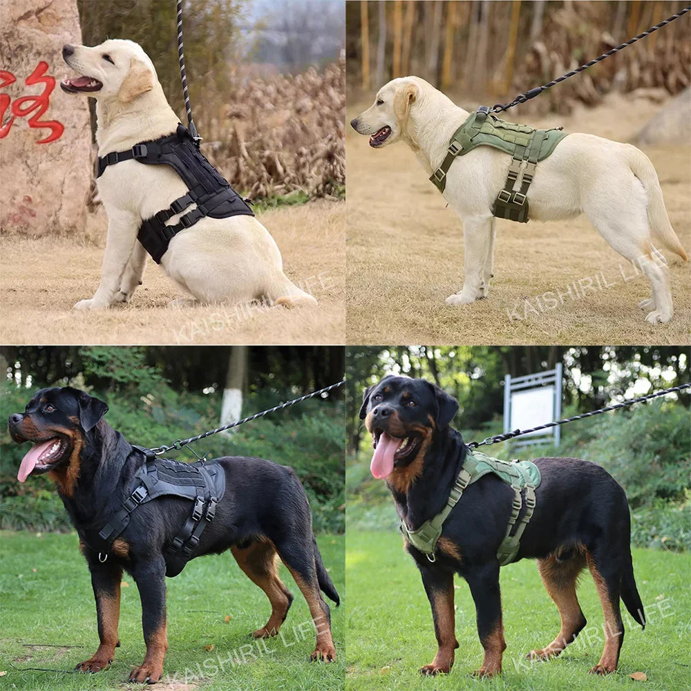 TactiPaws: Dog Training Harness Set