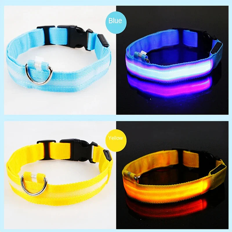 USB Rechargeable LED Glowing Dog Collar – Adjustable Night Safety - WTN Essentials