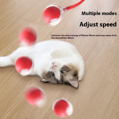 Rechargeable Interactive Smart Cat Toy - Automatic Rolling Ball Pet Accessories