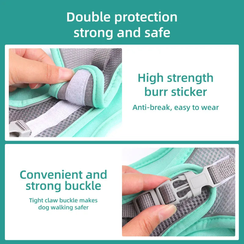 Adjustable Dog Harness & Leash Set for Small Dogs – Comfortable & Safe Walking Gear - WTN Essentials