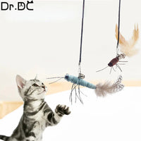 Dr.DC Teasing Cat Stick Head with or without Wire Stick