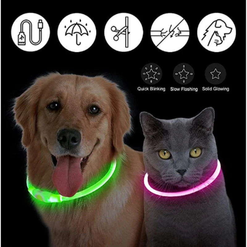 USB Rechargeable LED Glowing Dog Collar – Adjustable Night Safety - WTN Essentials