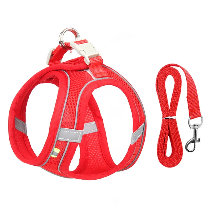 Small Dog Harness Set - Purrfect Pet Kingdom