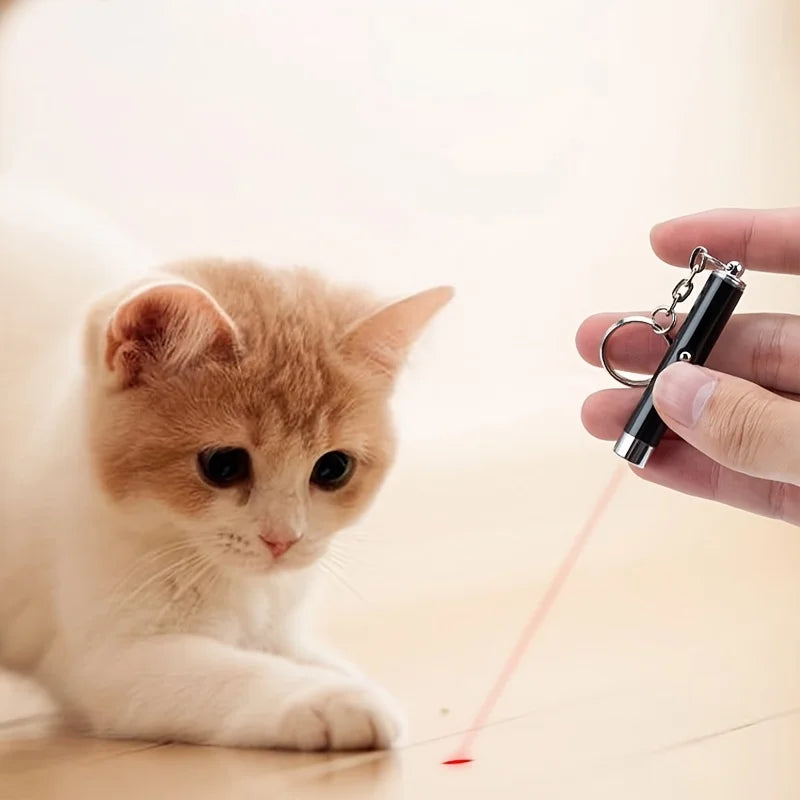 Cat Laser Pointer Toy – Interactive, Safe & Fun Play for Cats - WTN Essentials