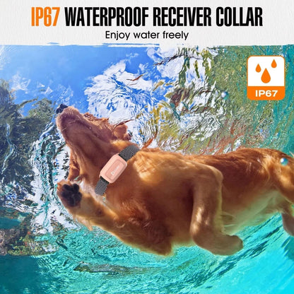 Pink IP67 waterproof electric collar with patterned strap on a swimming golden retriever. Purrfect Pet Kingdom aid.