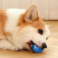 Dog Toy Ball Automatic Moving Bouncing Rolling Ball USB