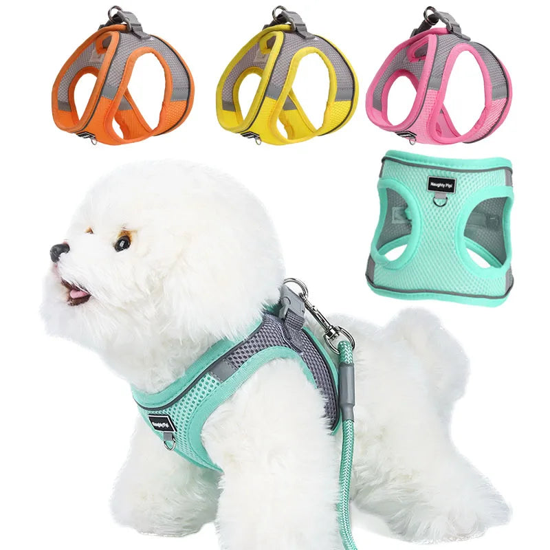 Adjustable Dog Harness & Leash Set for Small Dogs – Comfortable & Safe Walking Gear - WTN Essentials