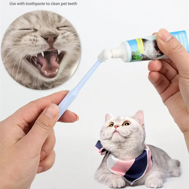 Soft Cat Toothbrush – Gentle Oral Care Brush for Pet Teeth Cleaning - WTN Essentials
