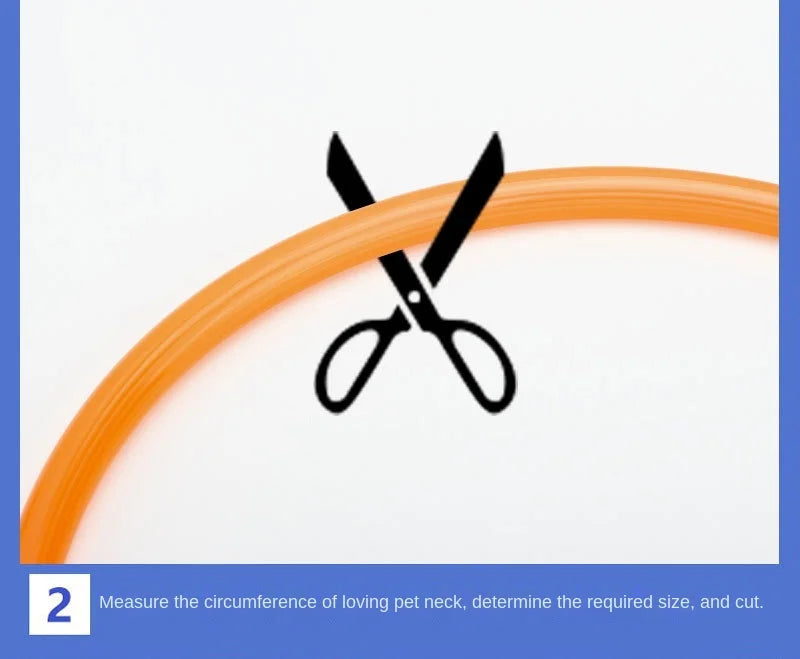 USB Rechargeable LED Glowing Dog Collar – Adjustable Night Safety - WTN Essentials