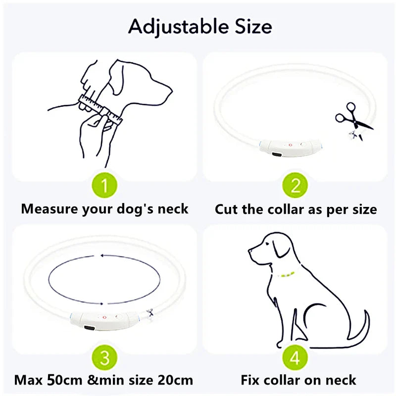 USB Rechargeable LED Glowing Dog Collar – Adjustable Night Safety - WTN Essentials