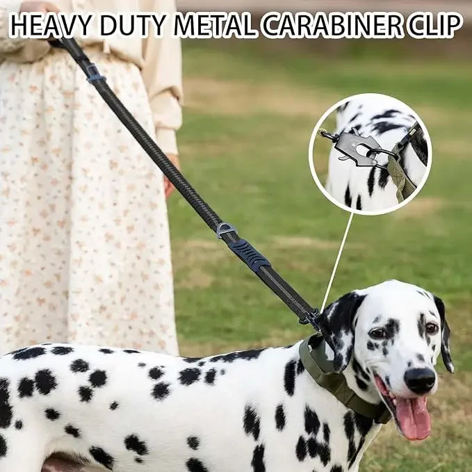 ReflectaBungee: Heavy-Duty Dog Leash & Seatbelt