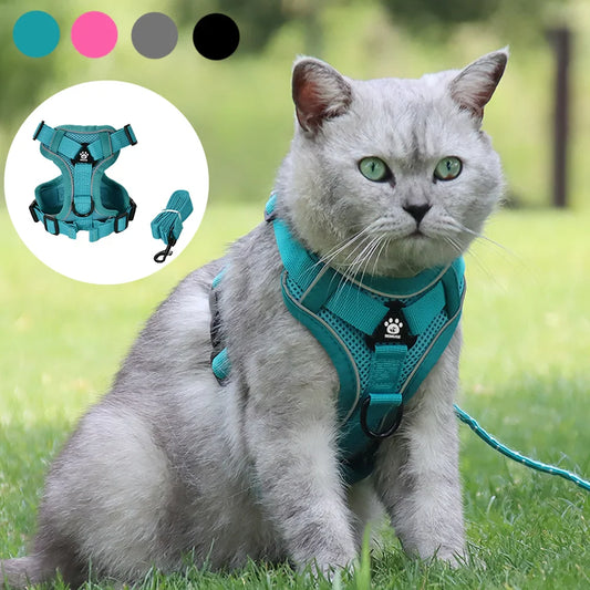 Secure Escape-Proof Cat Harness and Leash for Walking Cats