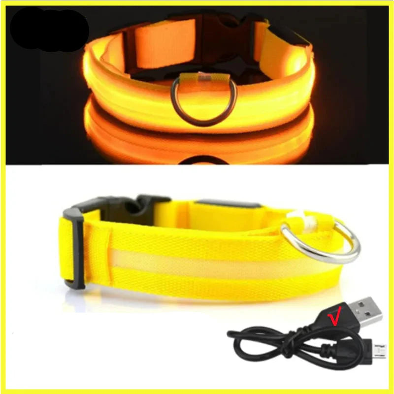 USB Rechargeable LED Glowing Dog Collar – Adjustable Night Safety - WTN Essentials
