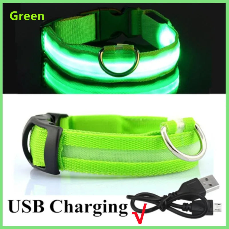 USB Rechargeable LED Glowing Dog Collar – Adjustable Night Safety - WTN Essentials