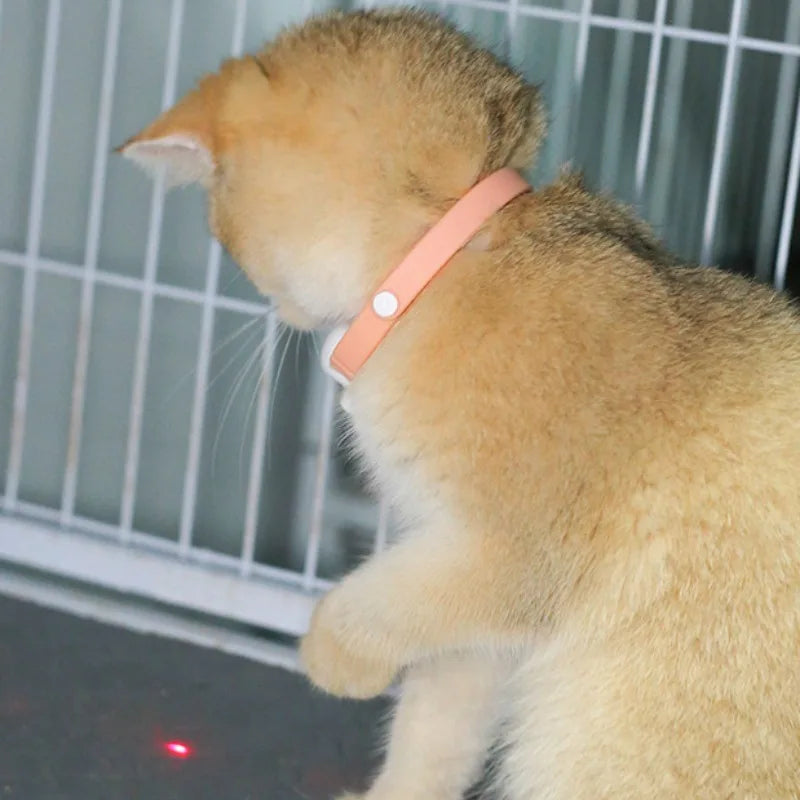 Smart Laser Cat Teaser Collar – Rechargeable Infrared Interactive Toy - WTN Essentials