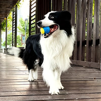 1pc Dog Toy Durable Crew Ball Pet Grinding Teeth Toy For Dog