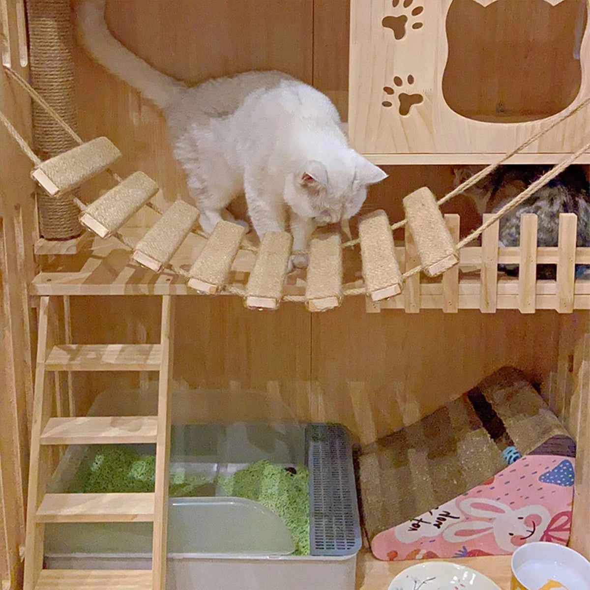 Cat Climbing Frame Bridge Ladder Sisal Rope 🐱